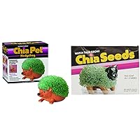 Chia Pet Hedgehog Decorative Pottery Planter Bundle with Chia Seed Packs