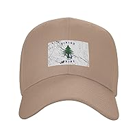 Ensign of Maine Texture Effect Baseball Cap for Men Women Dad Hat Classic Adjustable Golf Hats