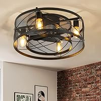 Caged Ceiling Fan with Lights Remote Control 20”, Quiet Reversible Motor 6 Speeds 1-4 Timing, Industrial Flush Mount Farmhouse Low Profile Bladeless Ceiling Fans