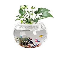 ERINGOGO Round Glass Fish Bowl, Clear Fish Tank Aquarium Bowl for Betta Goldfish Flower | Flower Vase Centerpiece