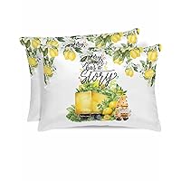Satin Pillowcase for Hair and Skin, Summer Lemon Smooth Silk Pillow Covers Set of 2, Yellow Fruits Teal Botanical Gnomes Lightweight Pillow Cases Cover with Hidden Zipper Closure, 20