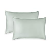 PURE BAMBOO Queen Pillowcase 2pc Set - Genuine 100% Organic Viscose Derived from Bamboo, Luxuriously Soft & Cooling, Double Stitching, Envelope Closure (2 Queen Pillowcases, Sea Glass)