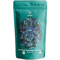 Kelp it Real - Soluble Seaweed Extract - Organic - High Grade Cold Pressed - Natural - Eco Friendly Fertilizer (8oz)