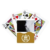 Terrestrial Organism Animal Photography Royal Flush Poker Playing Card Game