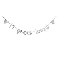 17 Years Loved Banner Cheers to 17 Years It's My Funny Fabulous 17 Banner -17th Birthday Banner Decorations - Finally 17 Milestone Happy Birthday Decorations(Silver 17)