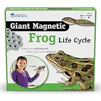 Giant Magnetic Frog Life Cycle, 9 Write and Wipe Pieces, Classroom Accessories, Teaching Aids, Ages 5+