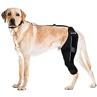 Dog Knee Brace, Support for Torn ACL Hind Leg, Luxating Patella, Relieve Arthritis Pain & Inflammation, with Side Stabilizers,Harness & Connection Belt, for Back Leg (Left Leg, X-Large)