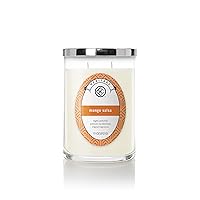 Mango Salsa Scented Jar Candle, Heritage Collection, 2 Wick, 11 oz - Up to 80 Hours Burn