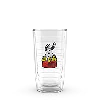 Tervis Peanuts Snoopy Woodstock Best Buddies Collection Insulated Tumbler, 16oz, Classic