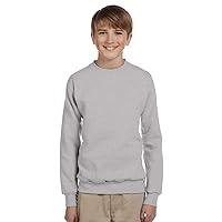 Hanes Boys Comfortblend EcoSmart Crewneck Sweatshirt, Small, LT Steel
