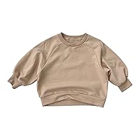 Clothes for Toddler Boys Basic Crewneck Pullover Sweatshirt Children's Solid Coat Kids Hoodies for Boys with