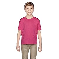 Fruit of the Loom HD Cotton Youth Short Sleeve T-Shirt M Retro Heather Pink