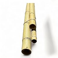 Pack of 3 Bamboo Sticks - 6 Feet Long Natural Thick Bamboo Poles - 1.5 in Diameter - Garden Stakes (Beige)
