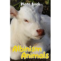 Albinism Animals Photo Book: Rare Animal Colorful Photos For All Ages To Relieve Stress And Get Creative