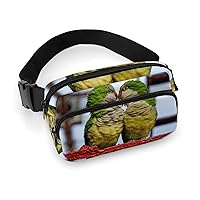 Monk Parakeets Couple in Brooklyn Fashion Crossbody Fanny Pack Waterproof Waist Bag Belt Bag for Men Women