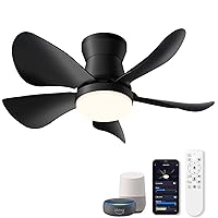 Alexa Smart Small Ceiling Fan and Modern Black Pendant Light