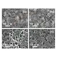 10g Sulfur-Carbon Composite Cathode Material for High Performance Lithium-Sulfur Batteries