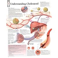Understanding Cholesterol chart: Laminated Wall Chart