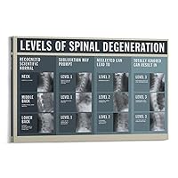 generic Chiropractor Levels Of Spinal Degeneration Poster Chiropractic Decor Canvas Painting Posters Poster Decorative Painting Canvas Wall Art Living Room Posters Bedroom Painting 08x12inch(20x30cm)