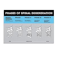 HWGACS Chiropractic Subluxation Degeneration Stage Poster Spine Hospital Decoration Poster 5 Home Living Room Bedroom Decoration Gift Printing Art Poster Unframe-style 12x08inch(30x20cm)