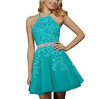 Tulle Homecoming Dresses for Teens 2024 Lace Applique Halter Short Prom Dresses Sparkly Beaded Formal Party Gowns
