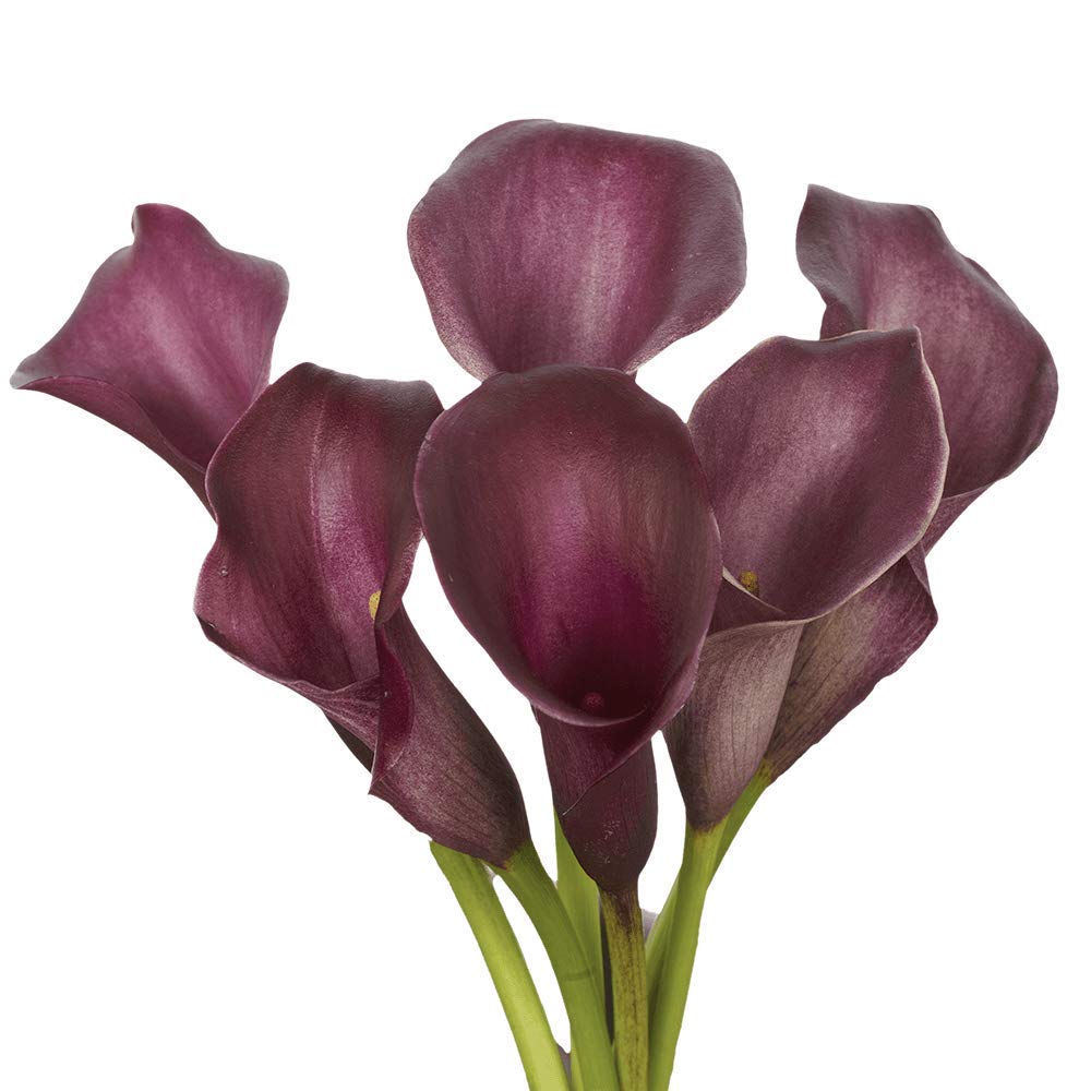 GlobalRose 10 Stems of Purple Color Calla Lilies - Fresh Flowers for Delivery