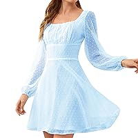 Spring Dresses for Women 2024 Square Neck Sheer Long Sleeve Dress Solid Slim Fit Flowy Jacquard Short Dress Mini Dress