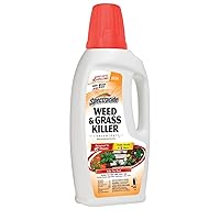 Spectracide Weed & Grass Killer Concentrate 2, Use On Driveways, Walkways and Around Trees and Flower Beds, 32 fl Ounce