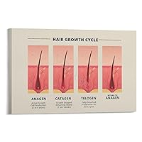 Hair Loss Poster Beauty Salon Treatment Poster Hair Follicle Growth Stages Chart Poster (1) Canvas Poster Bedroom Decor Office Room Decor Gift Frame-style 24x16inch(60x40cm)