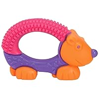 The First Years Bristle Buddy Teether - Girls