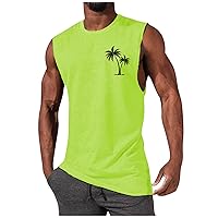 Men's Tank Shirts Summer Plus Size Casual Muscle Sports Training Bodybuilding Sport Shirt Solid Trendy Tees