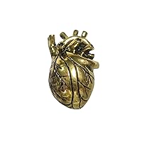 Bronze Toned Large Anatomical Heart Magnet
