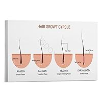 Hair Loss Poster Beauty Salon Treatment Poster Hair Follicle Growth Stages Chart Poster (3) Canvas Poster Bedroom Decor Office Room Decor Gift Frame-style 30x20inch(75x50cm)
