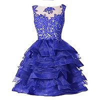 Women's Scoop Neck Homecoming Dress Lace Applique Prom Gown Dress with Ruffle