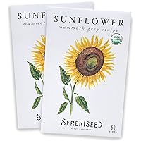 Sereniseed Certified Organic Mammoth Grey Stripe Sunflower Seeds (2-Pack) – 100% Non GMO, Open Pollinated – Guide for Indoor & Outdoor Garden Planting