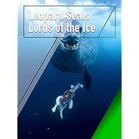 Leopard Seals - Lords of the Ice