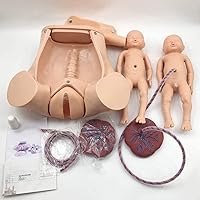 GaoFan Childbirth Simulator Life Size Pelvic Anatomical Model Delivery Maternity Teaching Mold Includes Models of Baby Uterus Amniotic Sac Pelvis and Placenta Umbilical for Gynecology Teaching