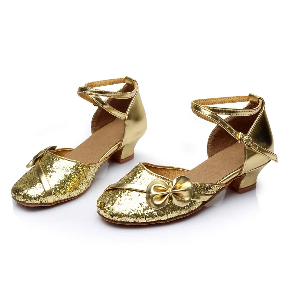 HIPPOSEUS Shiny Glitter Shoes Sequins Flower Wedding Party Shoes Mary Jane Shoes Low Heel for Big/Little Girl KM238