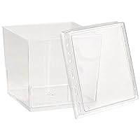 Blue Sky MiniWare Square Clear Plastic Cups with Lids (10ct) - 5oz Disposable Party Drinkware, Perfect for Events and Home Use
