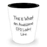 CFO Gifts | This Is What An Awesome Assistant Chief Financial Officer Looks Like - Funny Sarcastic CFO Shot Glass - Unique Mother's Day Unique Gifts for CFOs