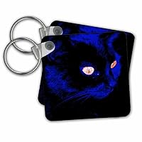 3dRose Key Chains Hunting At Halloween Stunning Black Cat Vector (kc-299352-1)