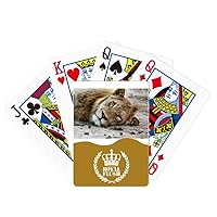 Terrestrial Organism Animal Lion Royal Flush Poker Playing Card Game