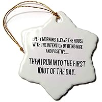 3dRose Lenas Photos - Funny Quotes - Stupid People - Ornaments (orn-301401-1)