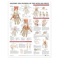 ACC Anatomy and Injuries of The Hand and Wrist Anatomical Chart, 20.00