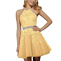 Tulle Homecoming Dresses for Teens 2024 Lace Applique Halter Short Prom Dresses Sparkly Beaded Formal Party Gowns A-Yellow