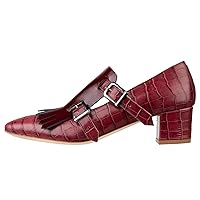 Women Fringe Loafer Pumps Chunky Heel Square Toe Loafers Buckle Strap Crocodile Pattern 2 inch Block Heel Slip On Dress Shoes Tassels Animal Print Sexy Fashion Retro Party 4-11 M US
