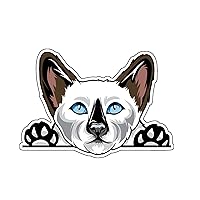 WickedGoodz Siamese Cat Vinyl Decal - Kitty Bumper Sticker - for Laptops Tumblers Windows Cars Trucks Walls