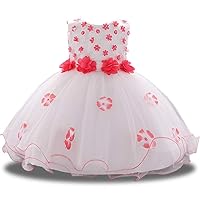 Embroidery 3D Flower Girl Dress Tulle Lace Formal Party Baby Dress 3M-9T