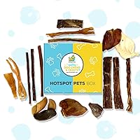 Hotspot Pets Box - All Natural Dog Chews and Treats Subscription Box for Large Dogs & Aggressive Chewers