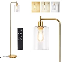 Litake Industrial Floor Lamp, Dimmable Modern Standing Lamp with Clear Glass Shade, Gold Tall Lamp with Remote & Foot Control, LED Bright Corner Lamp with 6W Bulb for Living Room Bedroom Office
